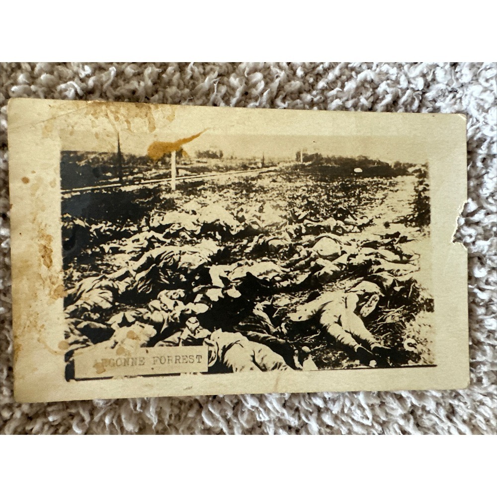Antique Postcard Argonne Forrest
